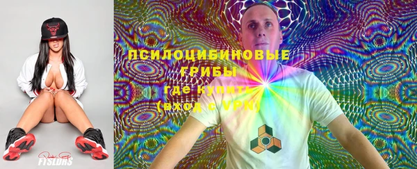 ешки Алексин