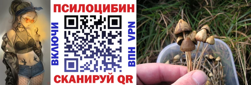 Галлюциногенные грибы Magic Shrooms  Тутаев 